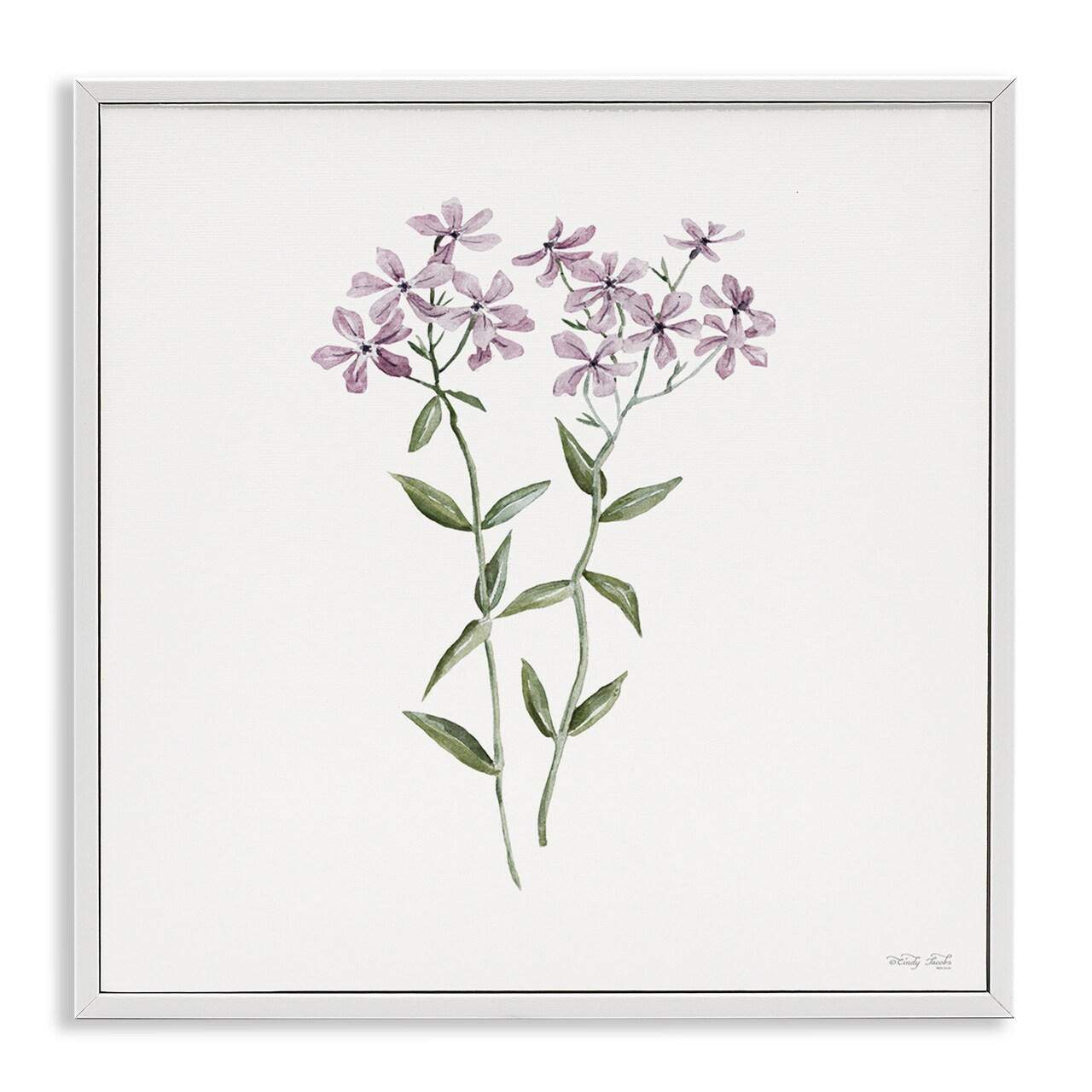 Stupell Industries Purple Phlox Botanical Framed Giclee, design by Cindy Jacobs